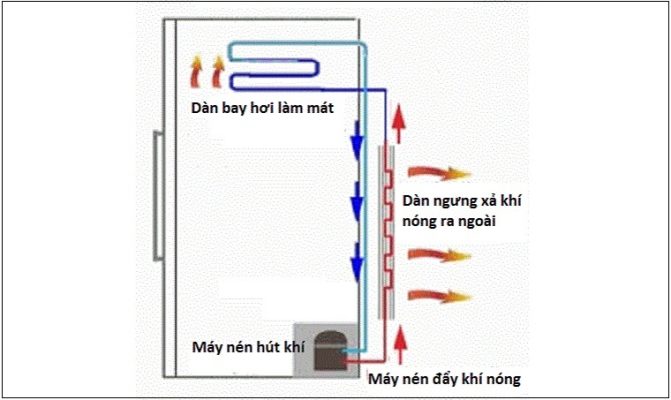 Tủ lạnh mới mua về bị nóng hai bên? Tìm hiểu nguyên nhân và cách khắc phục